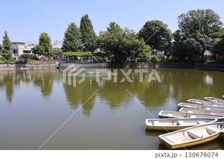 碑文谷公園・弁天池（東京都目黒区） 130676074