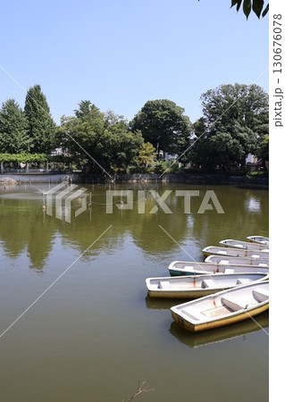 碑文谷公園・弁天池（東京都目黒区） 130676078