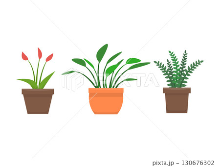 Potted plants foliage decoration interior stock illustration Potted plants foliage decoration interior stock illustration 130676302