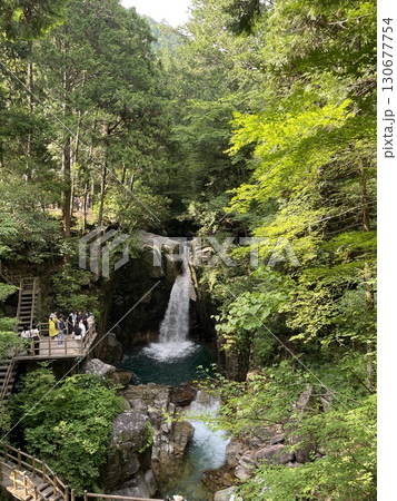 新緑に包まれた滝 新緑に包まれた滝 130677754