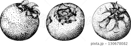 Set of illustrations featuring serviceberry, saskatoon clusters, flowers, and single berries. 130678082