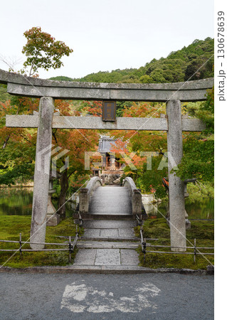 秋になり紅葉した楓が美しい京都の神社 秋になり紅葉した楓が美しい京都の神社 130678639