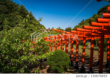 Takayama Inari Shrine in Ushigatacho, Tsugaru, Aomori, Japan 130678693