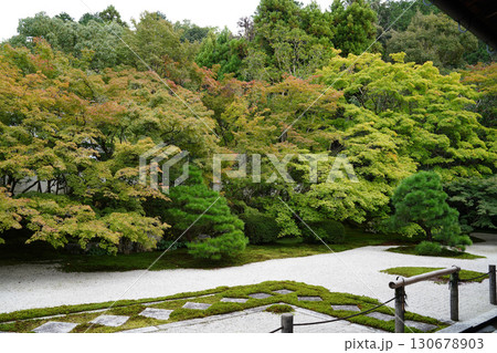 京都の寺院の境内の風景 京都の寺院の境内の風景 130678903