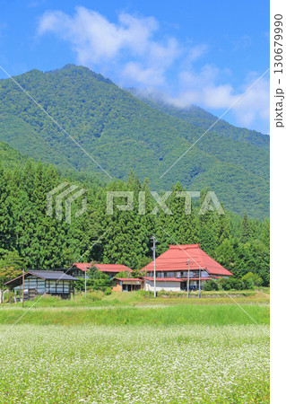 初秋の山村 ソバの花咲くころ 初秋の山村 ソバの花咲くころ 130679990