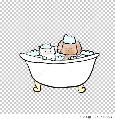 Dog and cat taking a bath 130679993