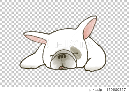Sleeping french bulldog Sleeping french bulldog 130680327
