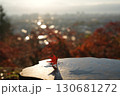 朝の光に照らされた紅葉 130681272