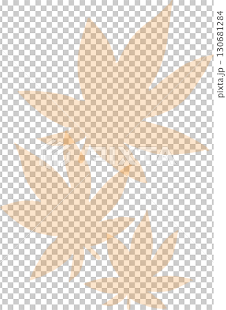 Illustration of autumn leaves of maple trees, light color Illustration of autumn leaves of maple trees, light color 130681284