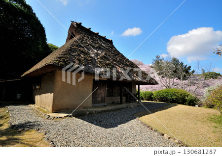 紀伊風土記の丘(旧小早川家住宅) 【和歌山県和歌山市】 紀伊風土記の丘(旧小早川家住宅) 【和歌山県和歌山市】 130681287