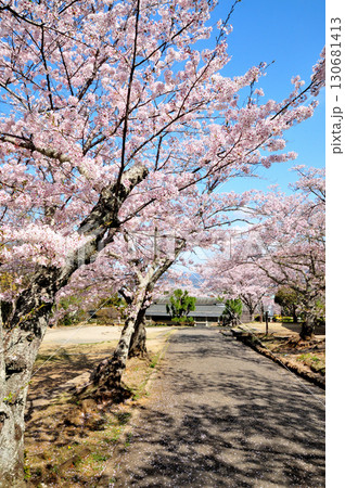 紀伊風土記の丘(散策路)　【和歌山県和歌山市】 130681413