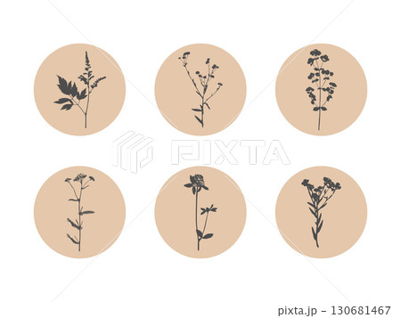 Botanical floral badge featuring silhouettes of plant prints inside round circles. Great for stickers, eco-branding and minimal packaging 130681467