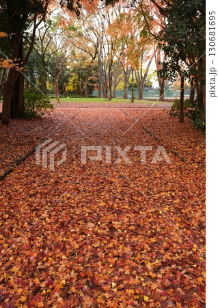 落ち葉の道 130681695