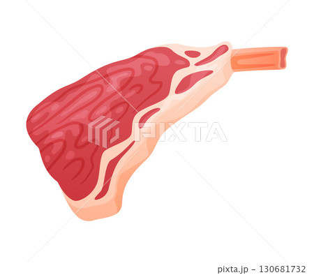 Beef Rib as Meat Product and Food Item from Butchery Shop Vector Illustration Beef Rib as Meat Product and Food Item from Butchery Shop Vector Illustration 130681732