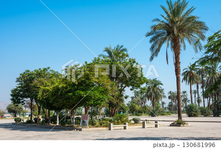 Tourists Walk on a Tree-Lined Path Near Karnak Temple 130681996