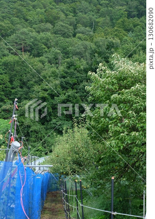 山と畑と電気柵のある風景 山と畑と電気柵のある風景 130682090