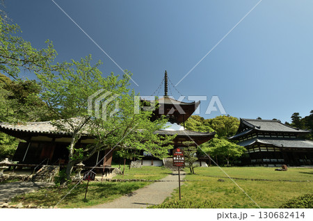 根来寺(大師堂・多宝塔・大伝法堂) 【和歌山県岩出市】 根来寺(大師堂・多宝塔・大伝法堂) 【和歌山県岩出市】 130682414