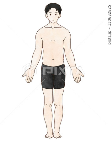 解剖学的正位　男性　正面　水彩風　服あり 130682825