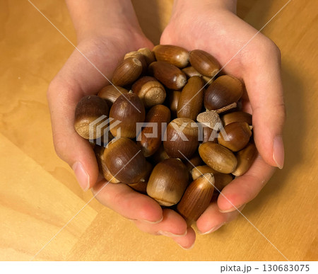 秋のどんぐり拾い。両手いっぱいにどんぐりを持つ子ども。 130683075