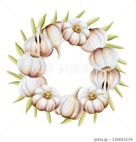 Garlic with green leaves round wreath illustration isolated on white. Hand drawn realistic vegetables frame template for spice recipes, traditional medicine and food cooking stickers and labels 130683234
