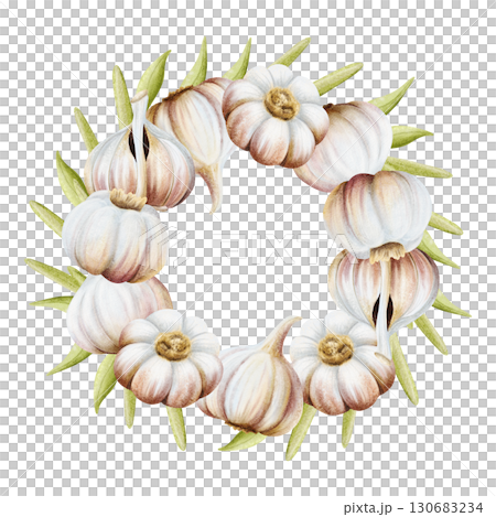 Garlic with green leaves round wreath illustration isolated on white. Hand drawn realistic vegetables frame template for spice recipes, traditional medicine and food cooking stickers and labels 130683234