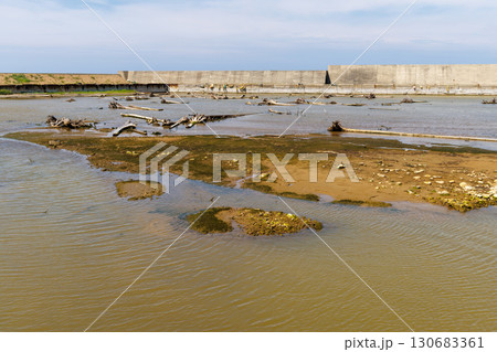 地震と津波により海底が隆起した港 地震と津波により海底が隆起した港 130683361
