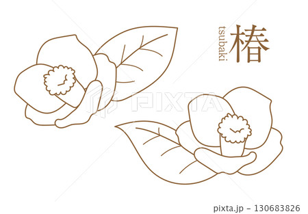 椿　イラスト　線画　カメリア　ツバキ 130683826