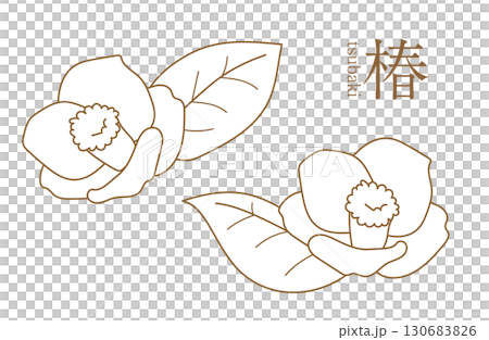 椿　イラスト　線画　カメリア　ツバキ 130683826