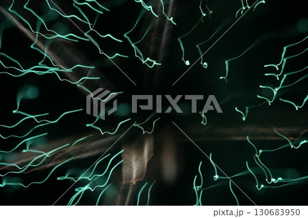 鳥取　四季の散歩　夏　花火  アート 130683950