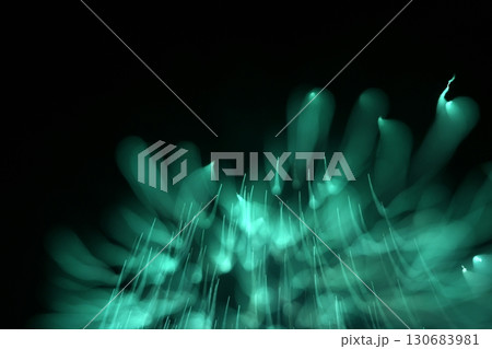 鳥取　四季の散歩　夏　花火  アート 130683981