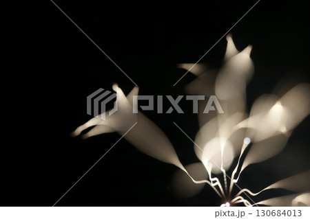 鳥取 四季の散歩 夏 花火 アート 鳥取 四季の散歩 夏 花火 アート 130684013