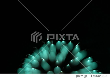 鳥取 四季の散歩 夏 花火 アート 鳥取 四季の散歩 夏 花火 アート 130684028