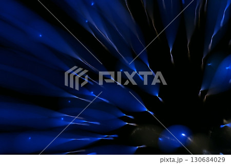 鳥取 四季の散歩 夏 花火 アート 鳥取 四季の散歩 夏 花火 アート 130684029