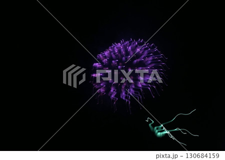 鳥取　四季の散歩　夏　花火  アート 130684159