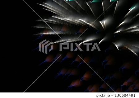 鳥取　四季の散歩　夏　花火  アート 130684491