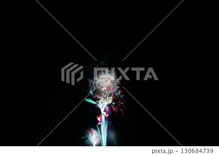 鳥取 四季の散歩 夏 花火  アート 鳥取 四季の散歩 夏 花火  アート 130684739