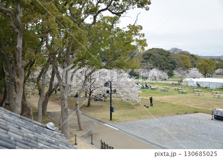 桜咲く公園の賑わい 桜咲く公園の賑わい 130685025