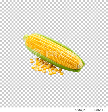 Fresh corn on the cob, strong yellow cobs, isolated on white background. 130686419