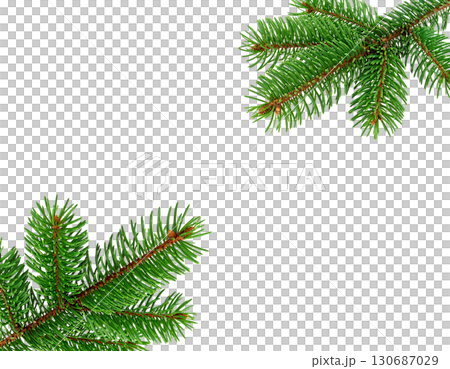 Colorful Christmas tree branches decorated with holiday ornaments and sparkling balls isolated on white background. 130687029