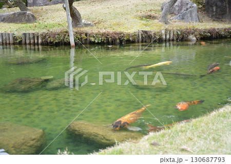 日本庭園 日本庭園 130687793