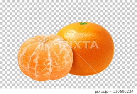 橘子插畫逼真的水果 130690234