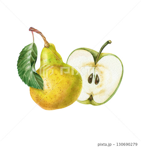 A hand-drawn half of an apple and a pear with a green leaf. The watercolor illustration is isolated on a white background. A botanical template with juicy seasonal fruits for the menu, gardening and 130690279