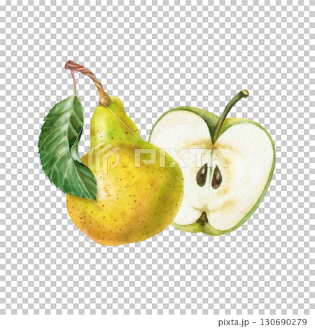 A hand-drawn half of an apple and a pear with a green leaf. The watercolor illustration is isolated on a white background. A botanical template with juicy seasonal fruits for the menu, gardening and 130690279