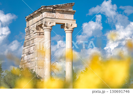 Sanctuary of Apollo Hylates showing columns on sunny day with yellow flowers and blue sky. Cyprus 130691746