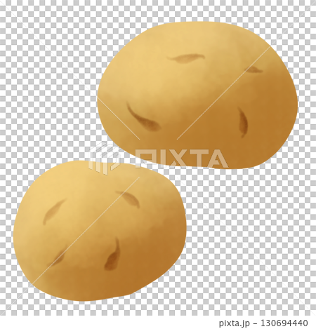 Two potatoes illustration 130694440