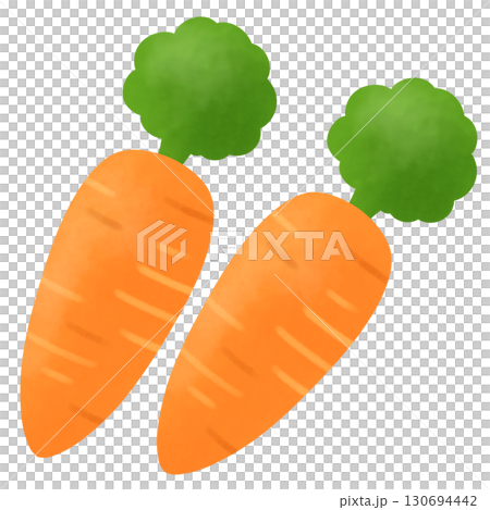 二本のにんじんのイラスト 130694442