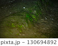 吉見百穴 130694892