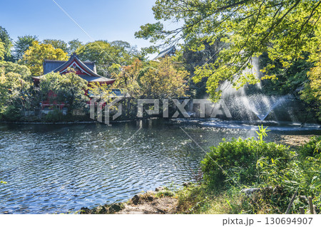 緑豊かな井の頭公園・井の頭池の風景【東京都・武蔵野市－三鷹市】 130694907