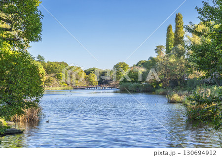 緑豊かな井の頭公園・井の頭池の風景【東京都・武蔵野市-三鷹市】 緑豊かな井の頭公園・井の頭池の風景【東京都・武蔵野市-三鷹市】 130694912