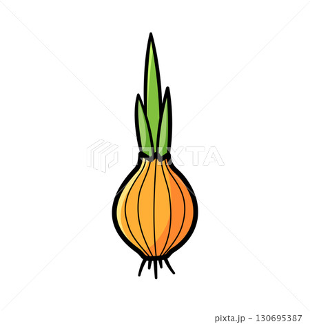Onion. Hand drawn sketch icons of bulb in color. Isolated vector illustration in doodle line style. 130695387